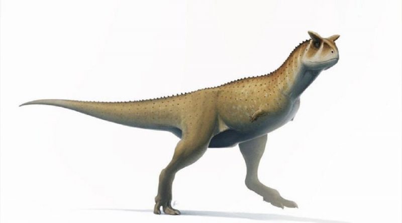 Encuentran nueva especie de dinosaurio sin brazos