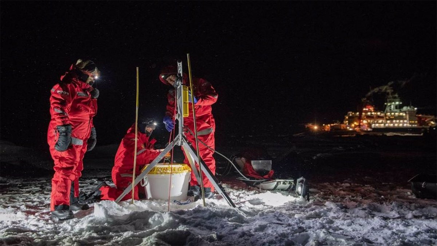 Inesperado hallazgo de peces y calamares en el Océano Ártico profundo