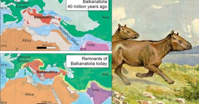 Balkanatolia, el continente olvidado que arroja luz sobre la evolución de los mamíferos