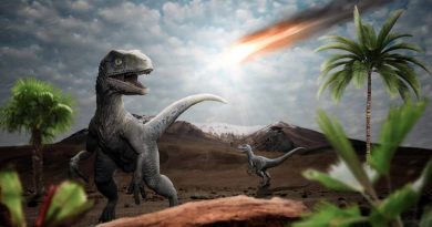 La causa de la extinción de los dinosaurios está en México, descubrieron científicos