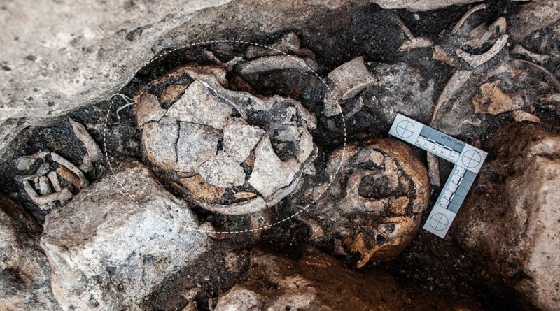 Descubren un cráneo femenino de hace 5.300 años con los primeros indicios conocidos de una cirugía de oído