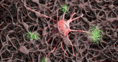 Integran una neurona orgánica artificial en una planta viva