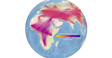 ¡Millones de datos! Crean el primer árbol genealógico de los humanos