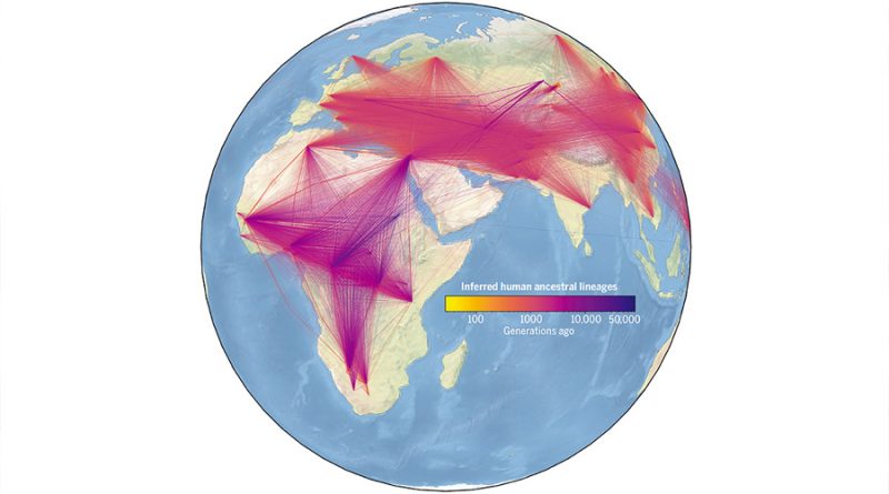 ¡Millones de datos! Crean el primer árbol genealógico de los humanos