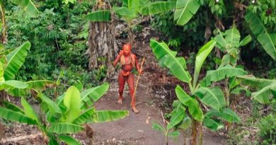 Descubren una nueva tribu de no contactados en el Amazonas, y corre un gran peligro
