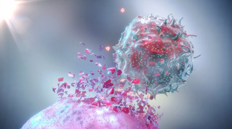 Revelan cómo el sistema inmunológico puede ser activado para atacar las células cancerosas