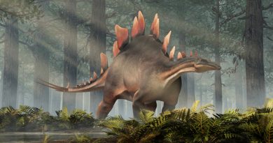 Descubren los restos del estegosaurio más antiguo de Asia y del mundo