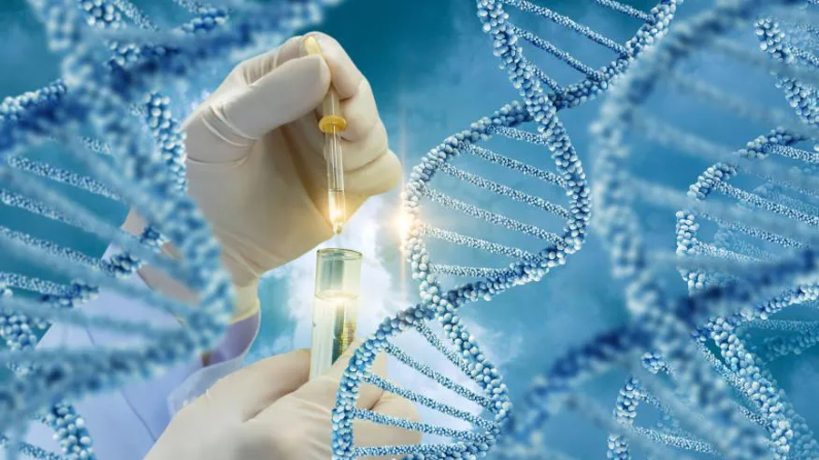 Crean un nuevo test de ADN que permite diagnosticar 25 enfermedades raras con precisión casi perfecta
