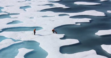 El Ártico pierde un tercio de su hielo marino invernal en 18 años