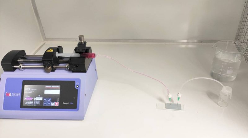 Desarrollado un biochip que optimiza la fabricación de piel humana en laboratorio