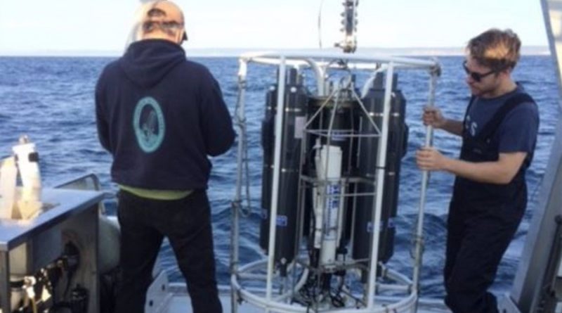 Un microbio marino, virtual arma secreta contra el cambio climático