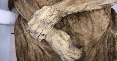 Identifican a la momia más antigua hallada hasta la fecha en el mundo