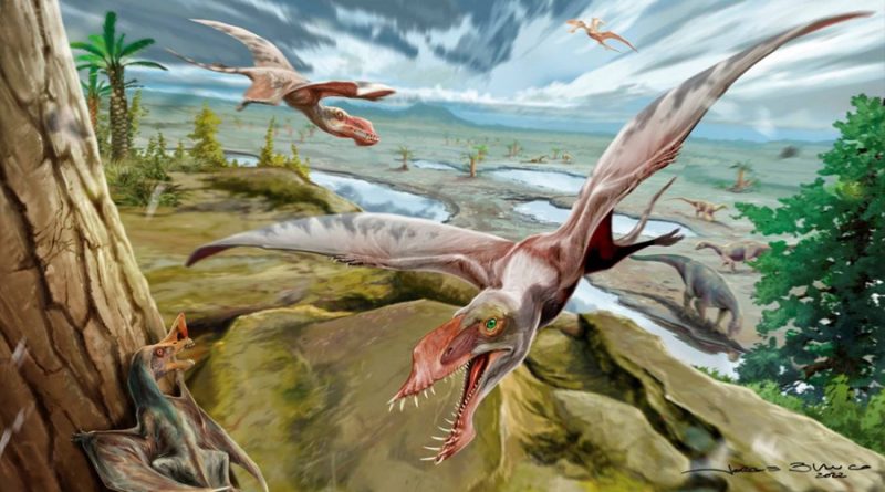 Los pterosaurios ya volaban en el hemisferio sur en el amanecer de estos reptiles