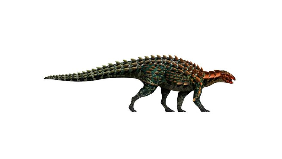 China halla un nuevo tipo de dinosaurio que vivió hace 190 millones de años
