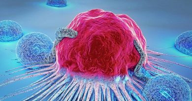 Nanomedicamentos 'sigilosos' para combatir cáncer y reducir los efectos de la quimioterapia