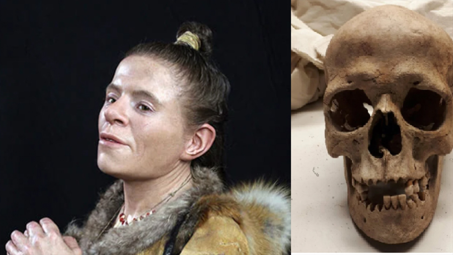 Reconstruyen el rostro de una mujer que vivió en la Edad de Piedra gracias a sus restos óseos