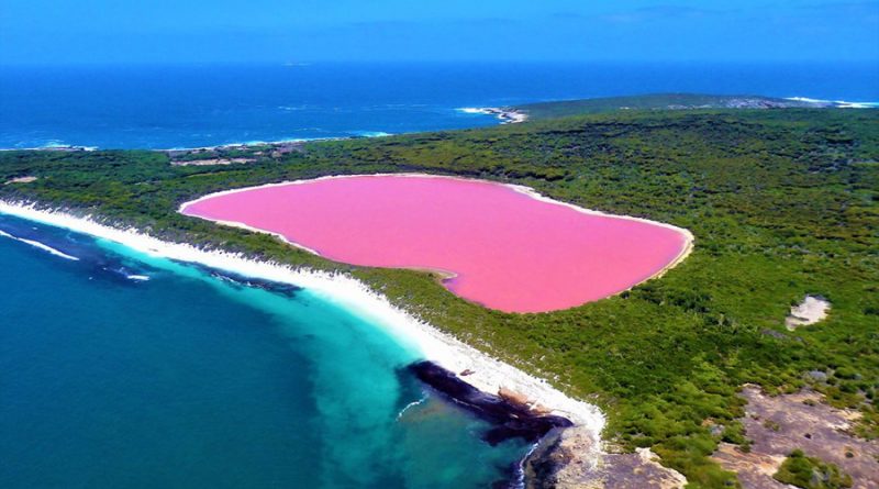 Descubren por qué el agua de un lago de Australia se torna de color rosa brillante