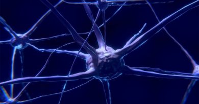 Identifican las neuronas que son capaces de ‘viajar en el tiempo’ en el cerebro