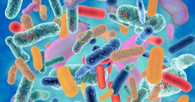 Microbiota, el diminuto ejército que nos cuida
