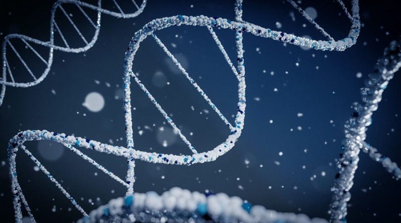 La vida en la Tierra pudo surgir solo con moléculas de ARN