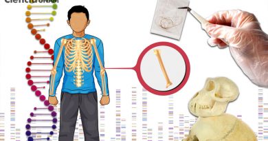 La genética como herramienta para explicar la variabilidad humana