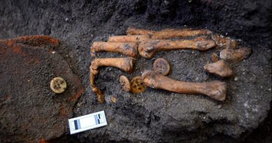 Arqueólogos mexicanos hallan entierros humanos asociados a intervención francesa en Puebla