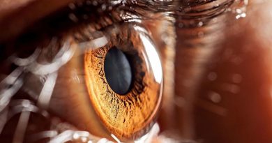 Los ojos biónicos cada vez más cerca: crean un material capaz de dilatarse y contraerse ante la luz