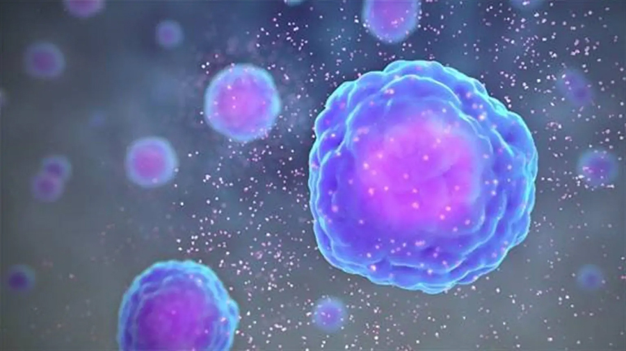 Científicos hallan un nuevo sistema de transporte de fármacos al interior de las células