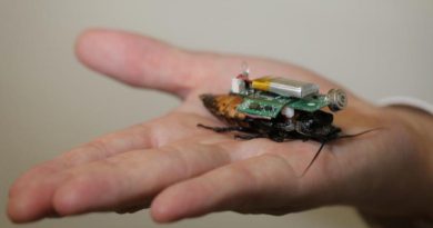 Crean cucarachas cibernéticas que pueden buscar supervivientes en edificios derrumbados