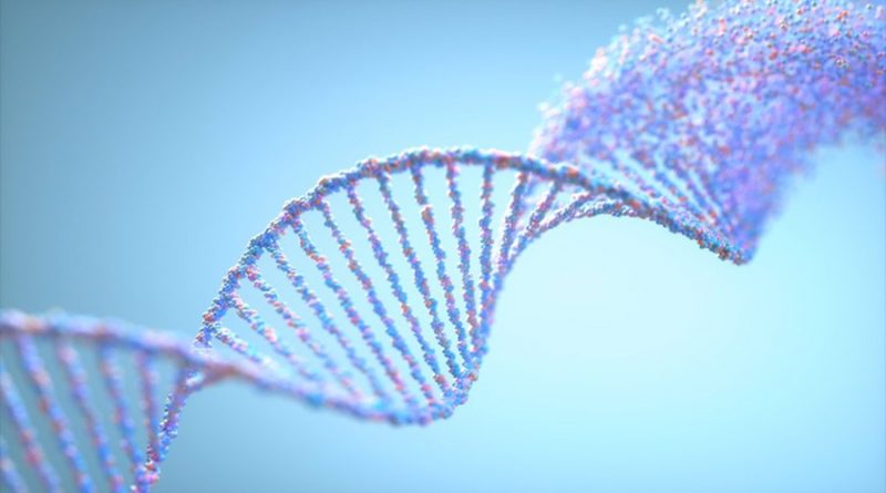Descubren un nuevo modelo de reparación "global" del ADN