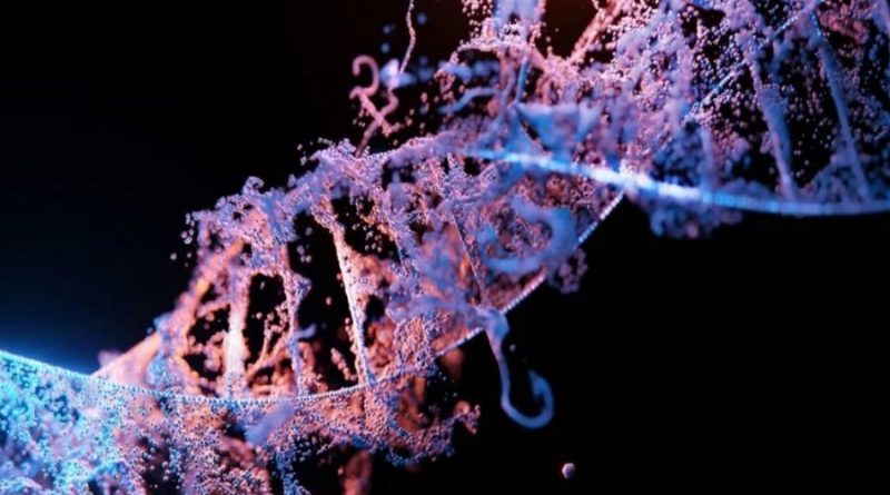 El genoma humano está prácticamente completo