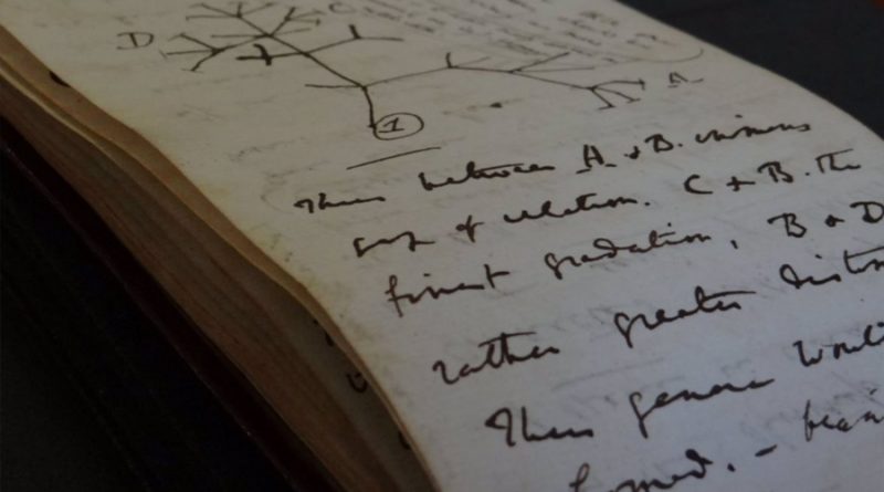 Devueltos a Cambridge de forma anónima los cuadernos perdidos de Darwin