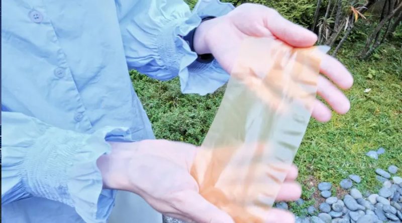 Convierten polen de girasol en un papel especial: es traslúcido, resistente y puede reutilizarse hasta 8 veces