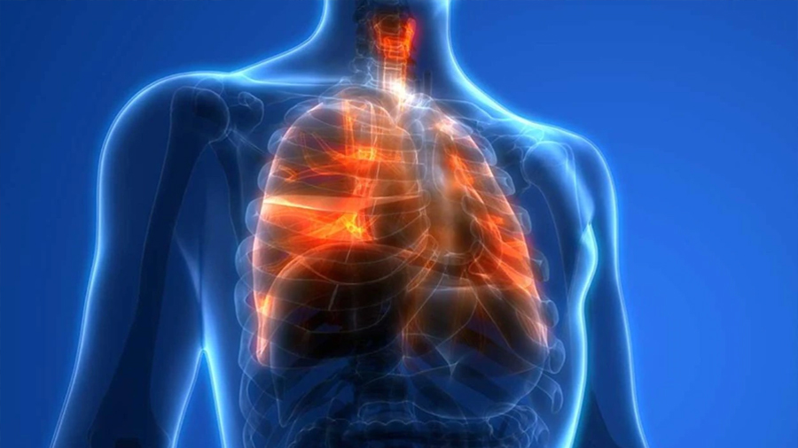 Hallan células ocultas en el pulmón capaces de revertir daños del tabaquismo