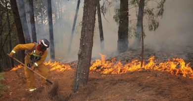 Crean estudiantes mexicanos espuma anti incendios, amigable con el medio ambiente