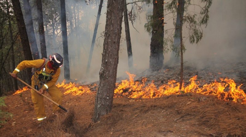 Crean estudiantes mexicanos espuma anti incendios, amigable con el medio ambiente