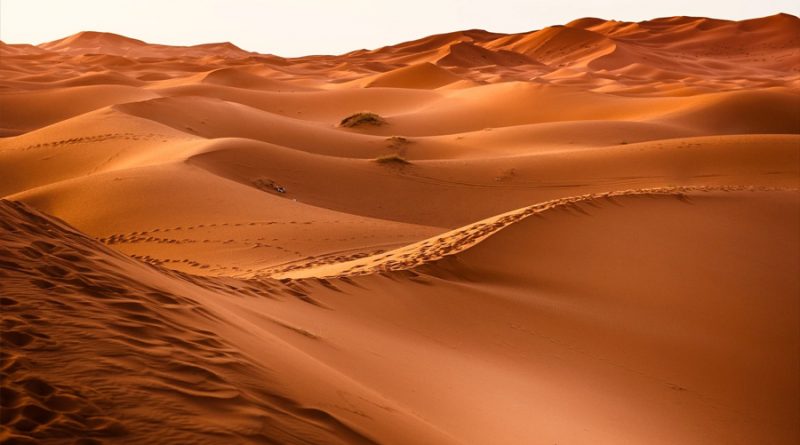 Científicos descubren que los desiertos de arena inhalan y exhalan vapor de agua
