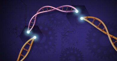 Desarrollan una nueva técnica con CRISPR que abre posibles vías de curación del VIH