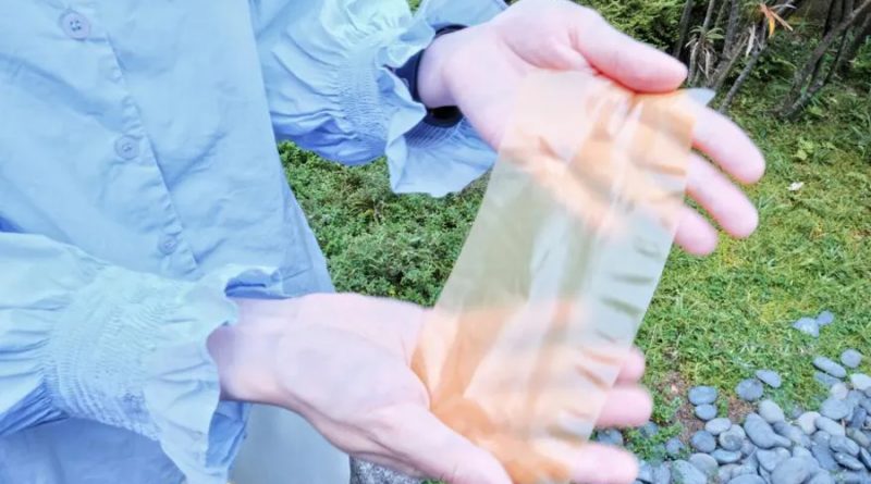 Convierten polen de girasol en un papel especial con singulares propiedades