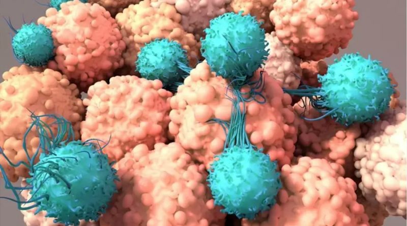 Descubren células soldados efectivas para atacar el cáncer