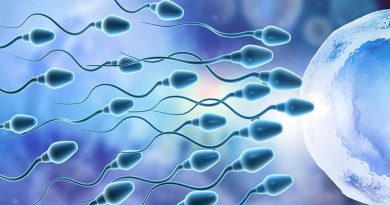 Un chip de microfluidos selecciona los espermatozoides para mejorar la reproducción asistida