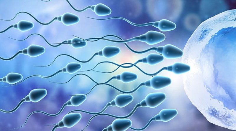 Un chip de microfluidos selecciona los espermatozoides para mejorar la reproducción asistida