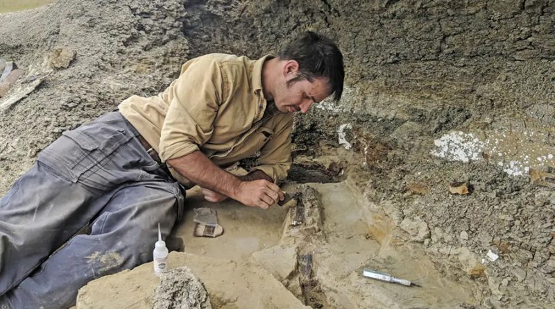 Fragmentos del asteroide que mató a los dinosaurios podrían haberse encontrado en un yacimiento fósil