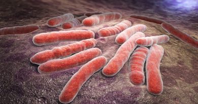 Logran escudriñar la evolución del grupo de bacterias de la tuberculosis