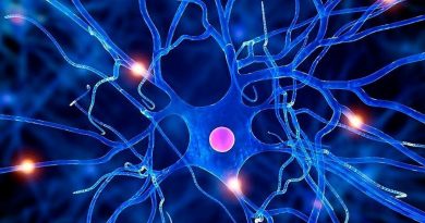 Científicos logran fabricar células nerviosas artificiales