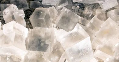 Científicos abrirán cristales de 830 millones de años y podrían contener microorganismos vivos