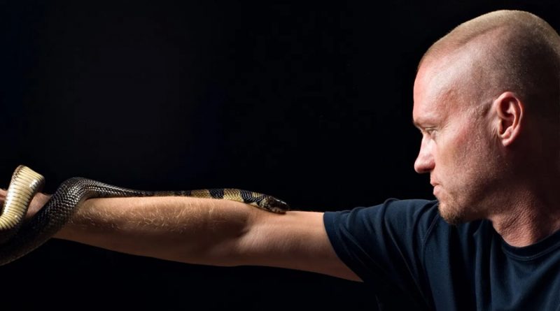 Este hombre recibe mordeduras de serpientes mortales en nombre de la ciencia