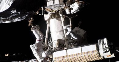 La Estación Espacial Internacional acoge el primer banco de ADN en caso de desastre planetario