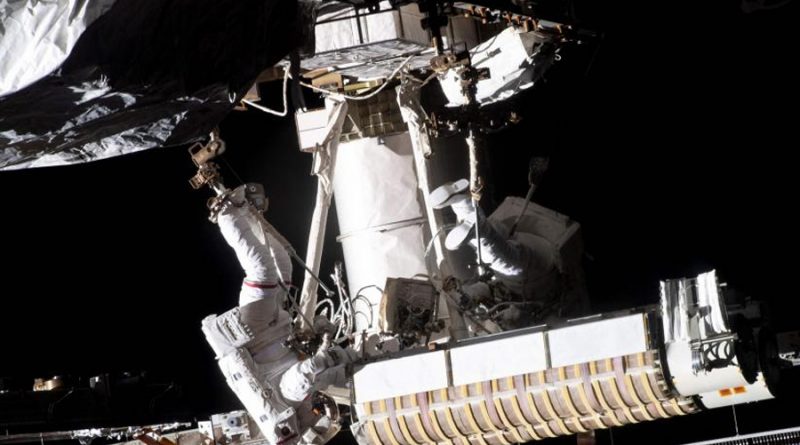 La Estación Espacial Internacional acoge el primer banco de ADN en caso de desastre planetario