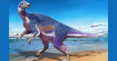 Descubren una nueva especie de dinosaurio en Japón